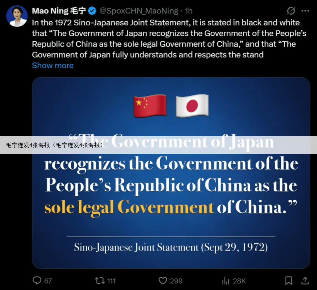 毛宁连发4张海报（毛宁连发4张海报）