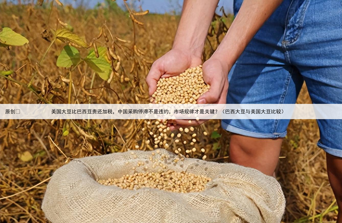 原创
            美国大豆比巴西豆贵还加税，中国采购停滞不是违约，市场规律才是关键？（巴西大豆与美国大豆比较）