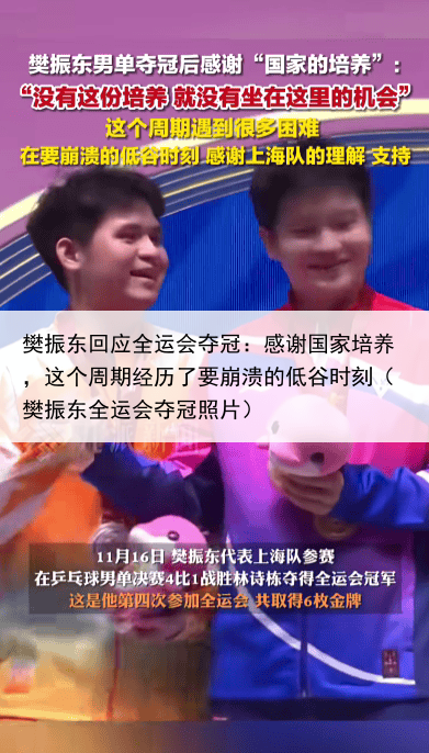 樊振东回应全运会夺冠：感谢国家培养，这个周期经历了要崩溃的低谷时刻（樊振东全运会夺冠照片）