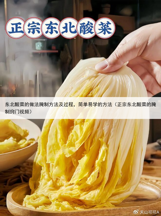 东北酸菜的做法腌制方法及过程，简单易学的方法（正宗东北酸菜的腌制窍门视频）
