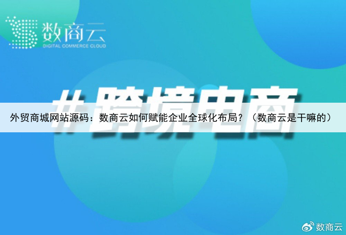外贸商城网站源码：数商云如何赋能企业全球化布局？（数商云是干嘛的）