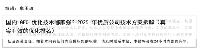 国内 GEO 优化技术哪家强？2025 年优质公司技术方案拆解（真实有效的优化排名）