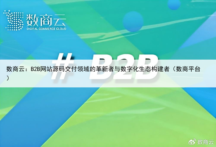 数商云:B2B网站源码交付领域的革新者与数字化生态构建者(数商平台)