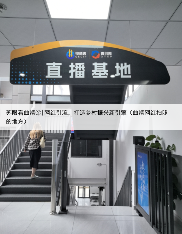 苏眼看曲靖②|网红引流,打造乡村振兴新引擎(曲靖网红拍照的地方)