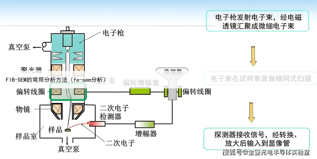 FIB-SEM的常用分析方法(fe-sem分析)