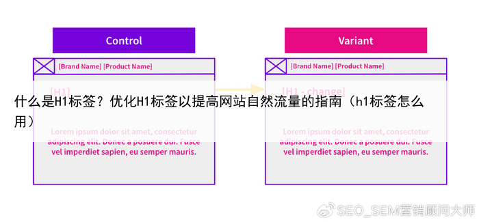 什么是H1标签?优化H1标签以提高网站自然流量的指南(h1标签怎么用)