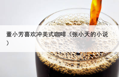 董小芳喜欢冲美式咖啡(张小天的小说)