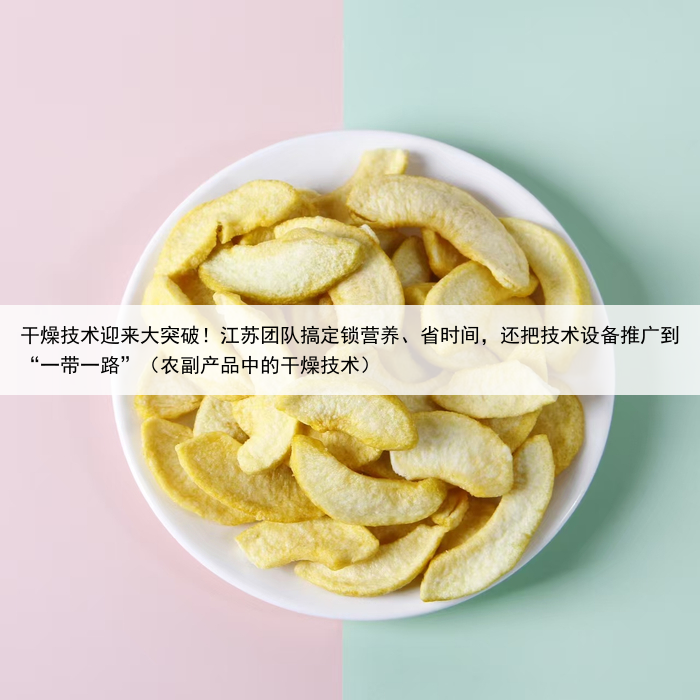 干燥技术迎来大突破！江苏团队搞定锁营养、省时间，还把技术设备推广到“一带一路”（农副产品中的干燥技术）