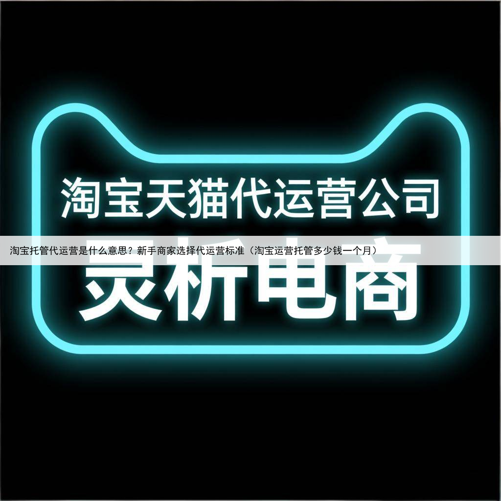 淘宝托管代运营是什么意思？新手商家选择代运营标准（淘宝运营托管多少钱一个月）