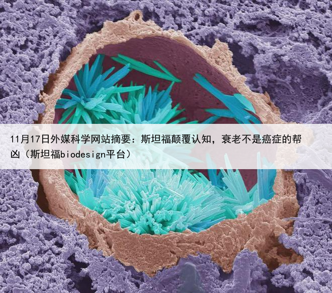 11月17日外媒科学网站摘要：斯坦福颠覆认知，衰老不是癌症的帮凶（斯坦福biodesign平台）