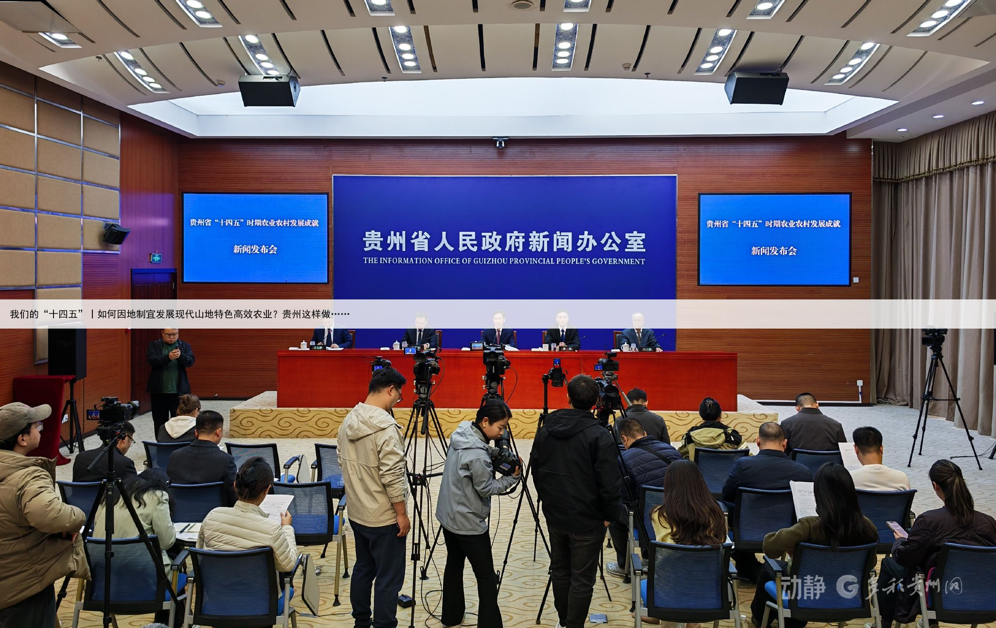 我们的“十四五”丨如何因地制宜发展现代山地特色高效农业?贵州这样做……