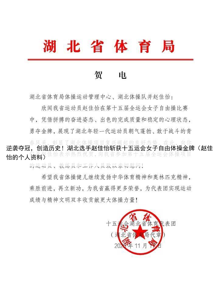 逆袭夺冠，创造历史！湖北选手赵佳怡斩获十五运会女子自由体操金牌（赵佳怡的个人资料）