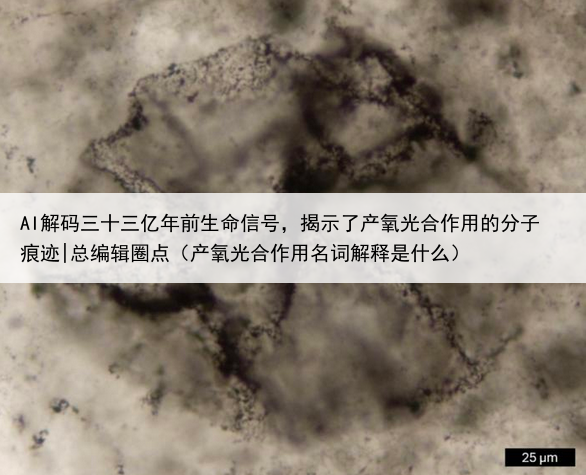 AI解码三十三亿年前生命信号，揭示了产氧光合作用的分子痕迹|总编辑圈点（产氧光合作用名词解释是什么）