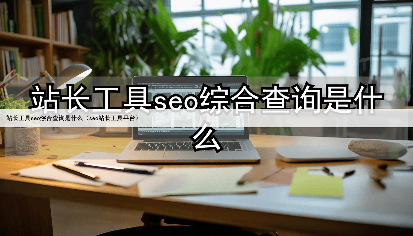 站长工具seo综合查询是什么（seo站长工具平台）