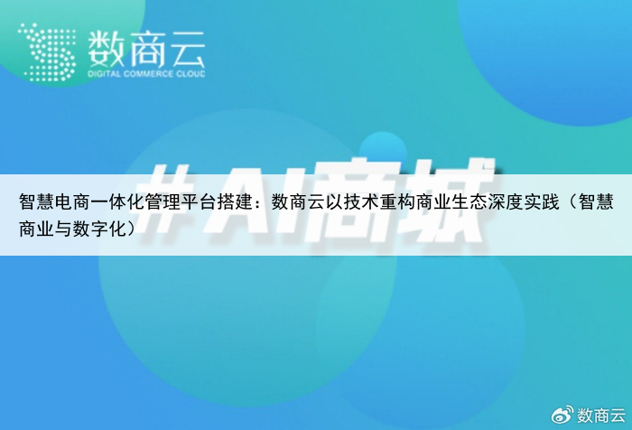智慧电商一体化管理平台搭建:数商云以技术重构商业生态深度实践(智慧商业与数字化)