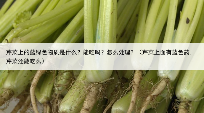 芹菜上的蓝绿色物质是什么？能吃吗？怎么处理？（芹菜上面有蓝色药,芹菜还能吃么）