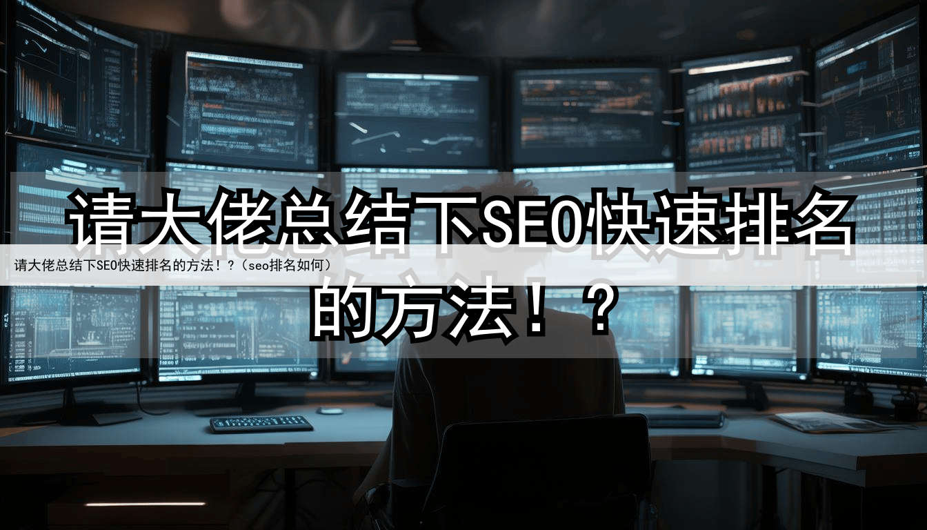 请大佬总结下SEO快速排名的方法！?（seo排名如何）