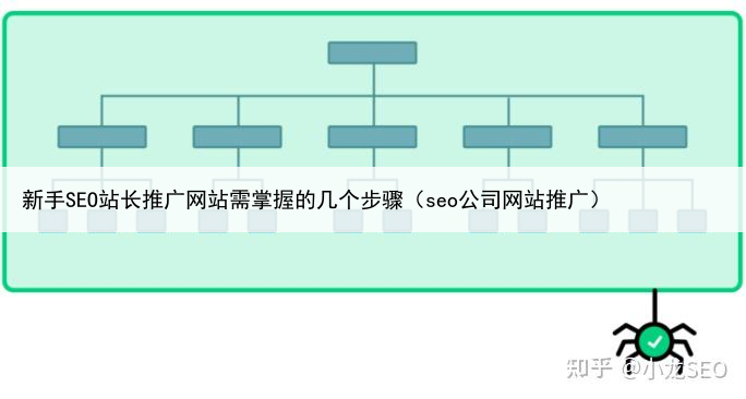 新手SEO站长推广网站需掌握的几个步骤（seo公司网站推广）