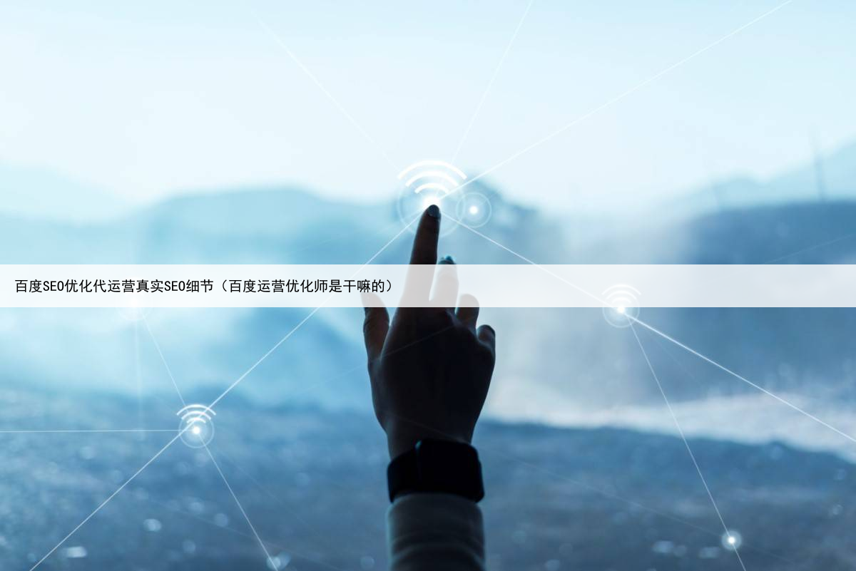 百度SEO优化代运营真实SEO细节（百度运营优化师是干嘛的）