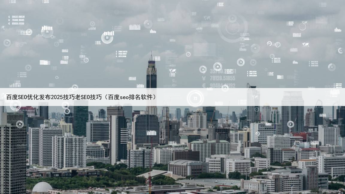 百度SEO优化发布2025技巧老SEO技巧(百度seo排名软件)
