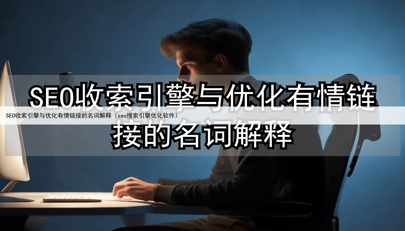 SEO收索引擎与优化有情链接的名词解释（seo搜索引擎优化软件）