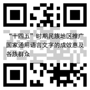 “十四五”时期民族地区推广国家通用语言文字的成效惠及各族群众