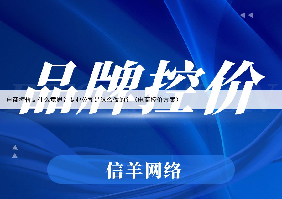 电商控价是什么意思？专业公司是这么做的？（电商控价方案）