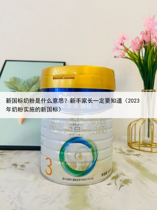 新国标奶粉是什么意思?新手家长一定要知道(2023年奶粉实施的新国标)