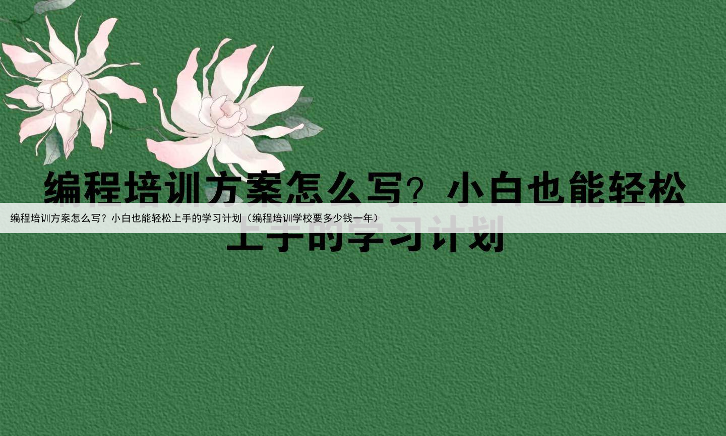 编程培训方案怎么写？小白也能轻松上手的学习计划（编程培训学校要多少钱一年）