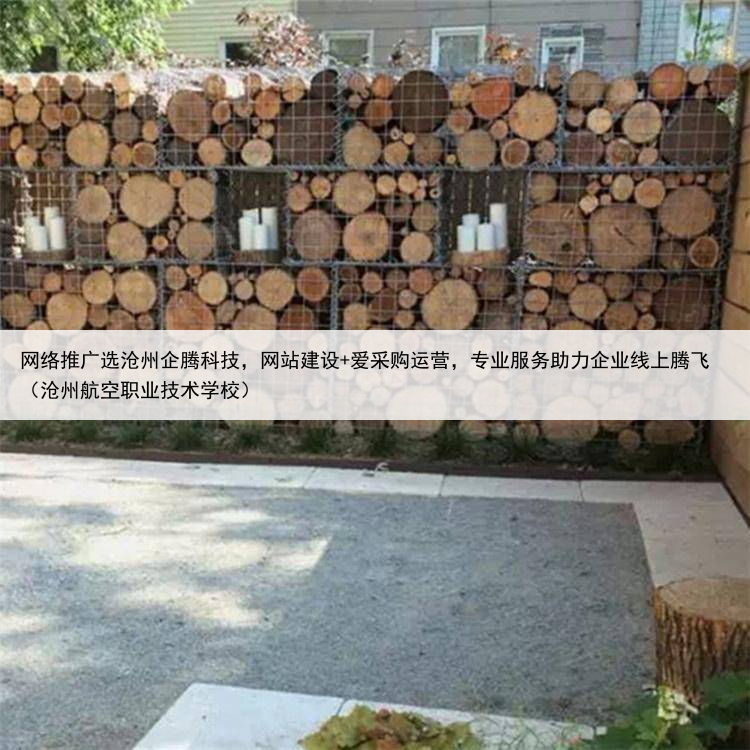 网络推广选沧州企腾科技，网站建设+爱采购运营，专业服务助力企业线上腾飞（沧州航空职业技术学校）