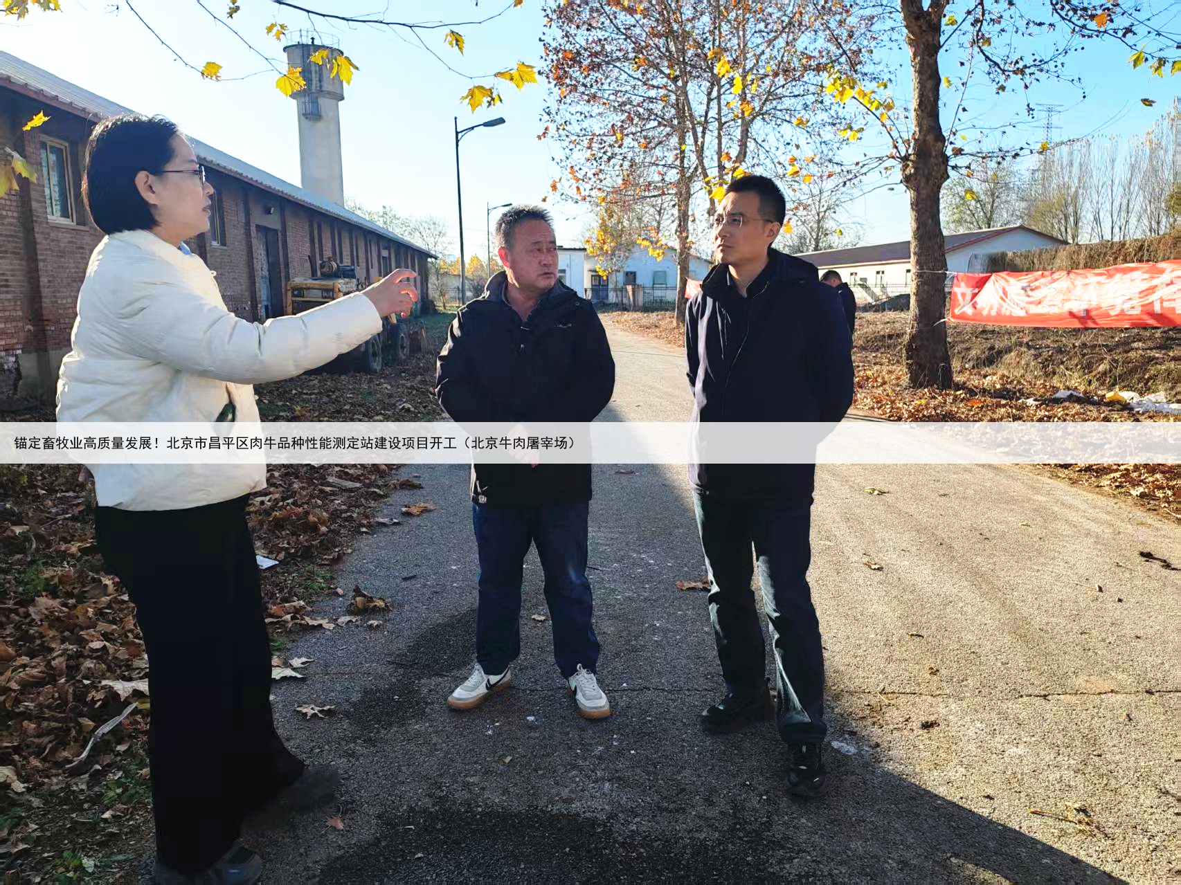 锚定畜牧业高质量发展！北京市昌平区肉牛品种性能测定站建设项目开工（北京牛肉屠宰场）
