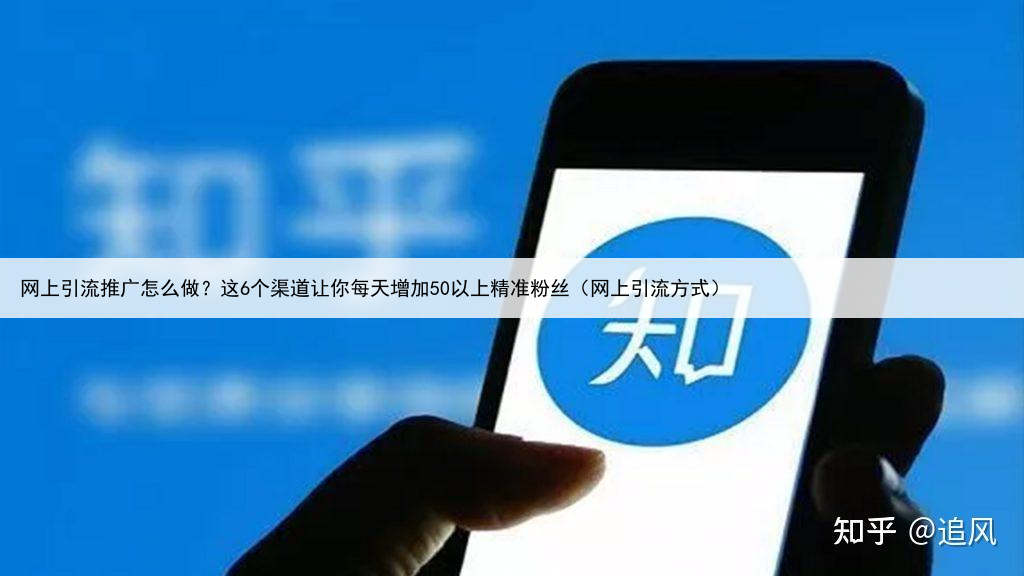 网上引流推广怎么做?这6个渠道让你每天增加50以上精准粉丝(网上引流方式)