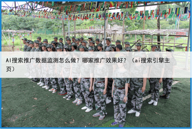 AI搜索推广数据监测怎么做?哪家推广效果好?(ai搜索引擎主页)