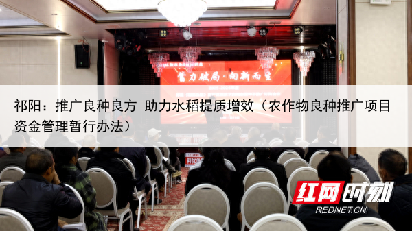 祁阳：推广良种良方 助力水稻提质增效（农作物良种推广项目资金管理暂行办法）