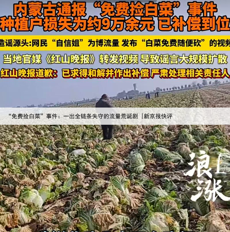 “免费捡白菜”事件：一出全链条失守的流量荒诞剧 |新京报快评