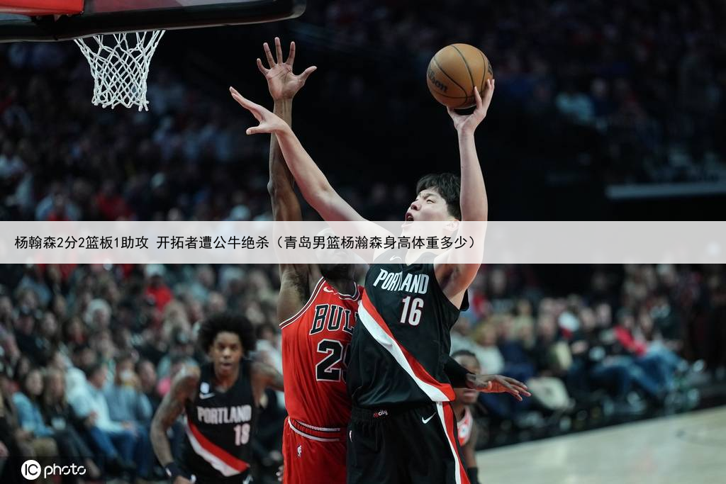 杨翰森2分2篮板1助攻 开拓者遭公牛绝杀（青岛男篮杨瀚森身高体重多少）