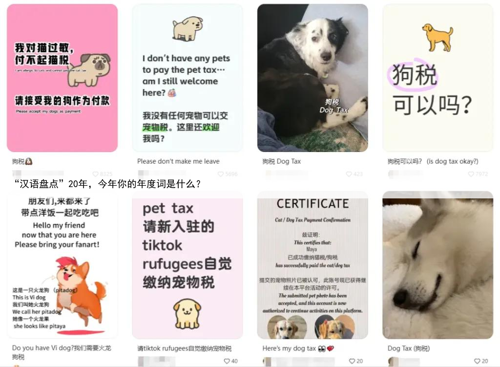 “汉语盘点”20年，今年你的年度词是什么？