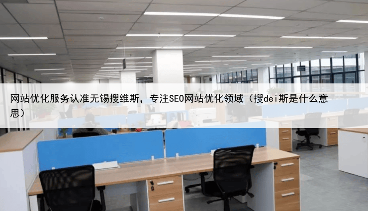 网站优化服务认准无锡搜维斯，专注SEO网站优化领域（搜dei斯是什么意思）