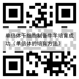 单倍体干细胞制备牛羊培育成功（单倍体的培育方法）
