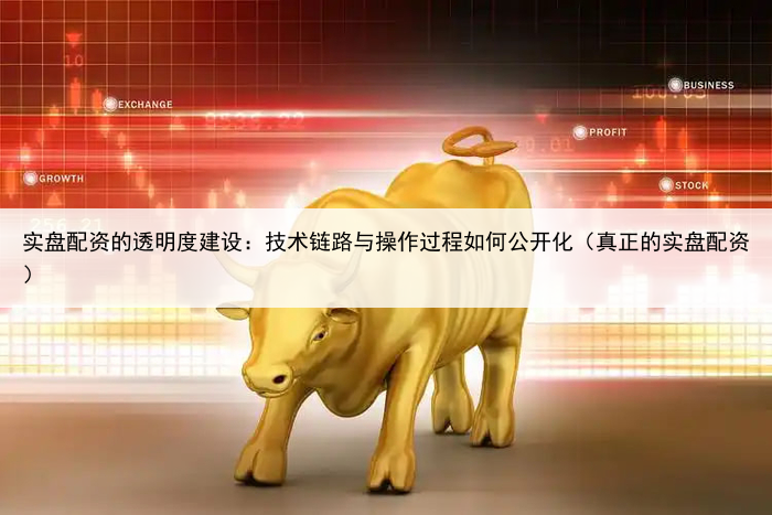 实盘配资的透明度建设:技术链路与操作过程如何公开化(真正的实盘配资)
