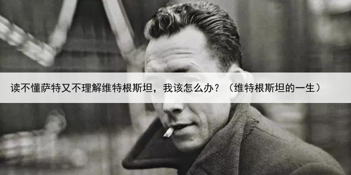 读不懂萨特又不理解维特根斯坦，我该怎么办？（维特根斯坦的一生）