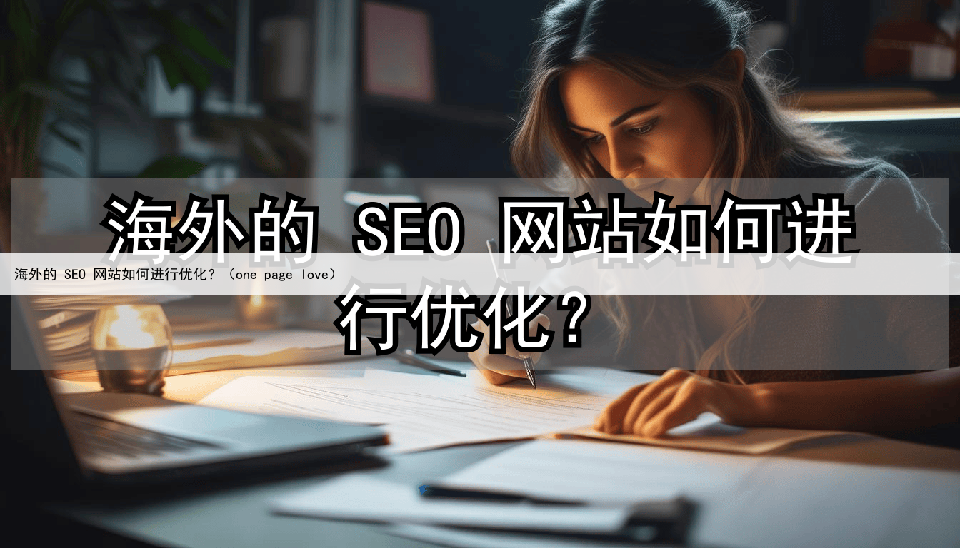 海外的 SEO 网站如何进行优化？（one page love）