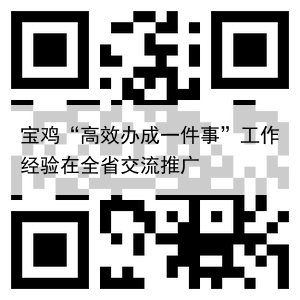 宝鸡“高效办成一件事”工作经验在全省交流推广