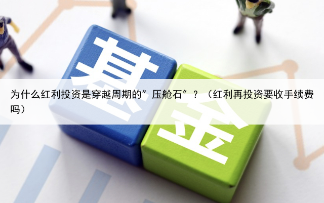 为什么红利投资是穿越周期的″压舱石″？（红利再投资要收手续费吗）