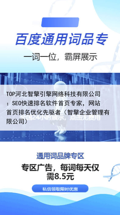 TOP河北智擎引擎网络科技有限公司：SEO快速排名软件首页专家，网站首页排名优化先驱者（智擎企业管理有限公司）